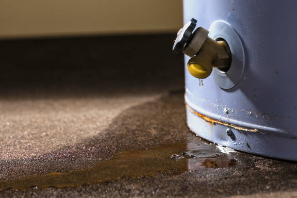Best Flood damage cleanup  in Haliimaile, HI