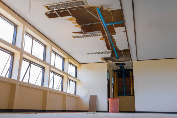 Professional Water damage restoration in Haliimaile, HI