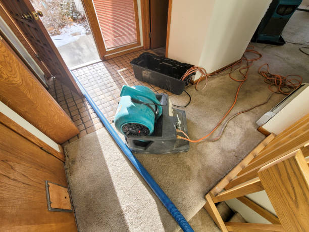 Best Residential water damage restoration  in Haliimaile, HI