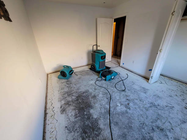Best Water damage cleanup near me  in Haliimaile, HI