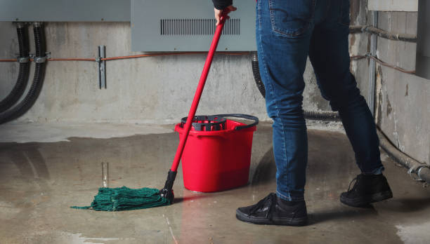 Best Carpet water damage restoration  in Haliimaile, HI
