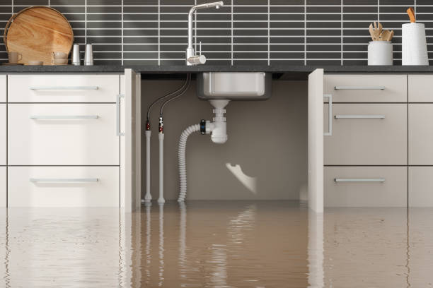 Professional Water damage restoration in Haliimaile, HI