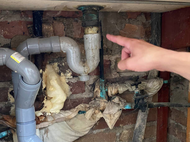 Best Emergency water extraction  in Haliimaile, HI