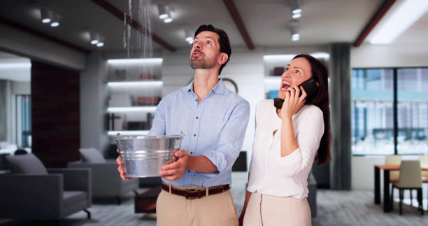 Best Water damage restoration near me  in Haliimaile, HI