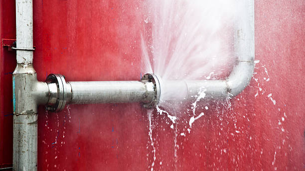 Best Water damage mitigation services  in Haliimaile, HI