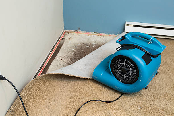 Best Flooded house restoration  in Haliimaile, HI
