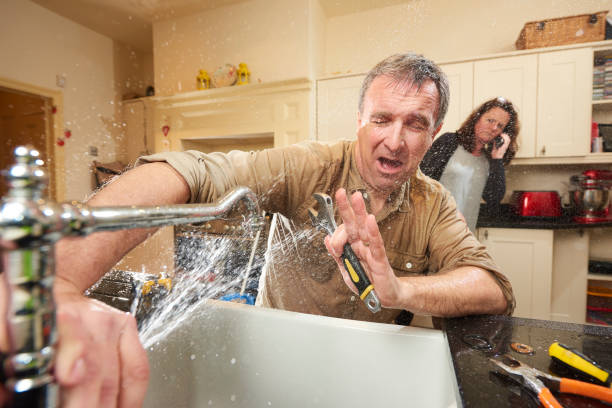 Best Mold removal after water damage  in Haliimaile, HI